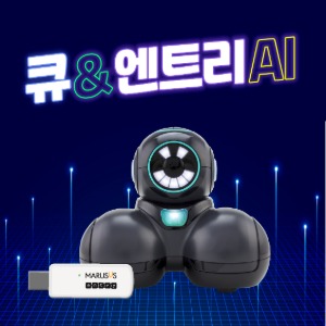[AI교육] 큐+엔트리 동글